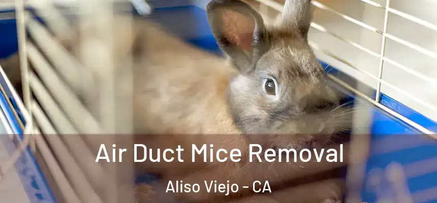  Air Duct Mice Removal Aliso Viejo - CA