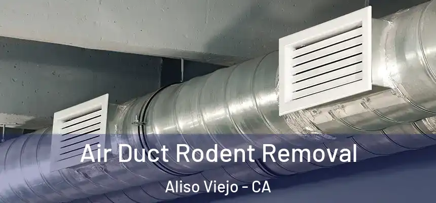  Air Duct Rodent Removal Aliso Viejo - CA