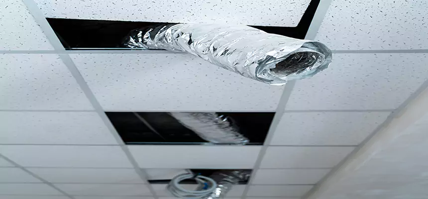 Affordable HVAC Sanitizing After Pest Removal in Aliso Viejo