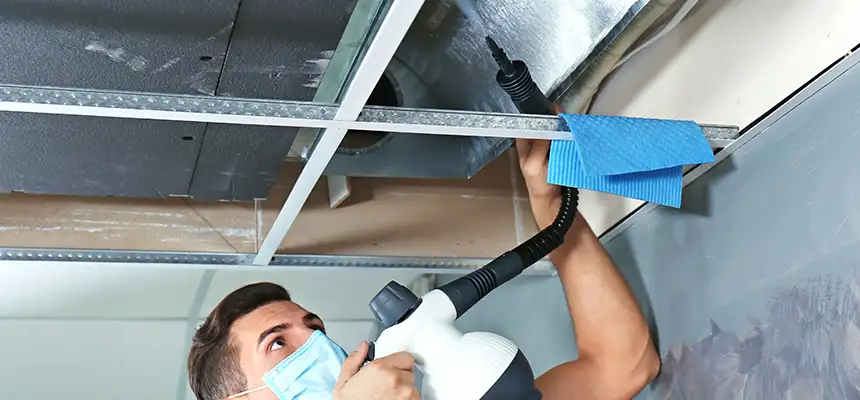 Our Air Duct Rodent Removal Services in Aliso Viejo, CA