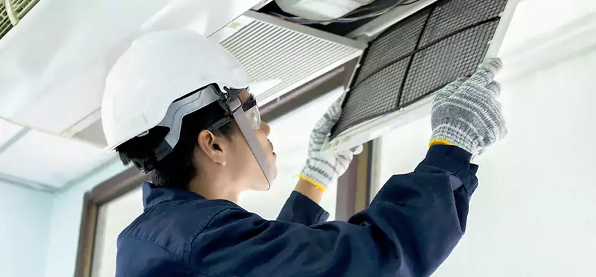 Our Mold & Mildew Removal from Air Ducts Services in Aliso Viejo, CA