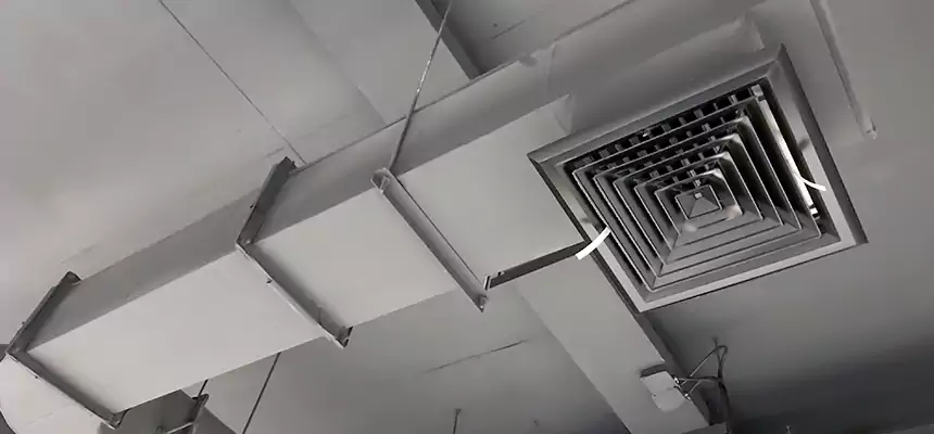 Our Pest Removal From Ducts Services in Aliso Viejo, CA