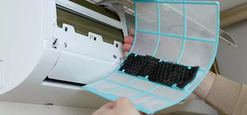 Gentle Ductwork Odor-Control Pet Dander Duct Cleaning in Aliso Viejo, CA