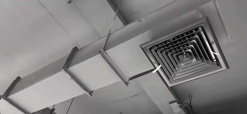 Our Rodent Droppings In Vents Services in Aliso Viejo, CA