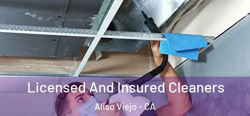 Licensed And Insured Cleaners Aliso Viejo - CA