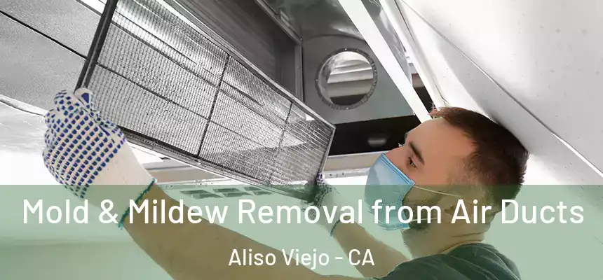 Mold & Mildew Removal from Air Ducts Aliso Viejo - CA