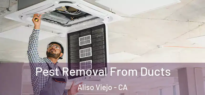 Pest Removal From Ducts Aliso Viejo - CA