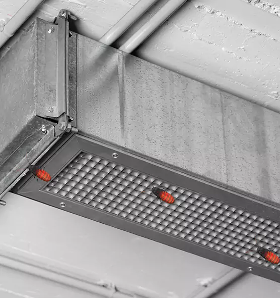 About Air Duct Cockroach Removal in Aliso Viejo, CA