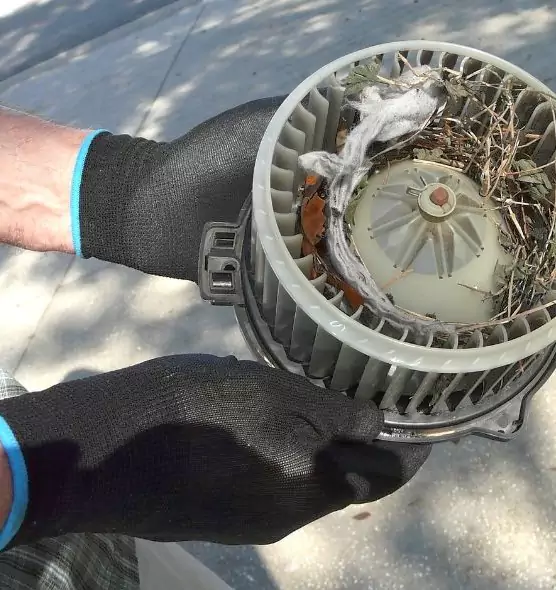 About Air Duct Mice Removal in Aliso Viejo, CA