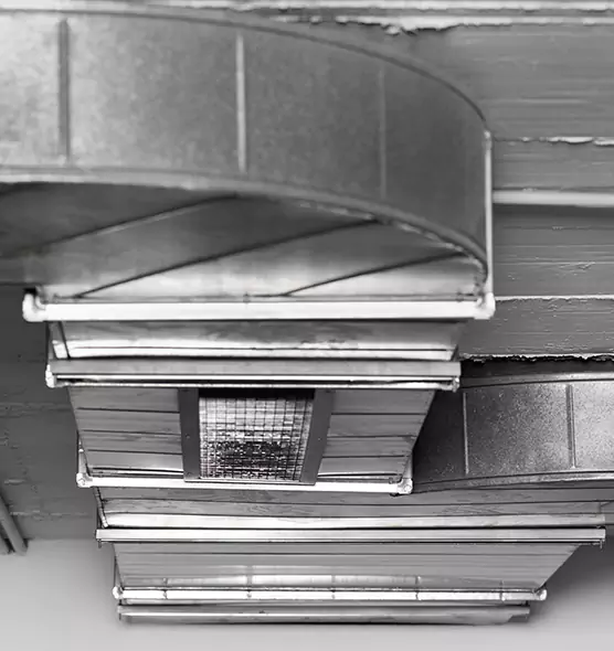 Professional Air Duct Pet Hair Removal in Aliso Viejo, CA