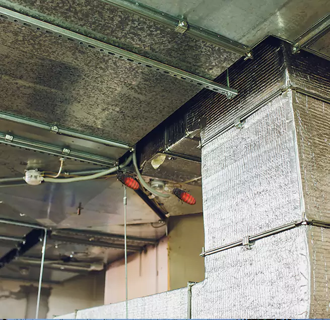 Why Homeowners & Businesses Trust Us Aliso Viejo, CA?