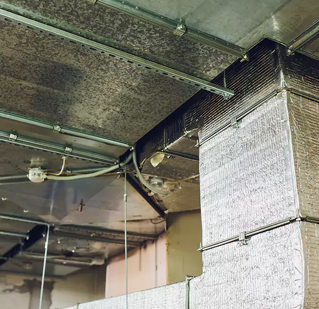 Why Homeowners & Businesses Trust Us in Aliso Viejo, CA?